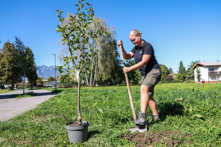 "Das hat sich komplett verändert": Warum man mit der Gartenarbeit nicht bis zum Frühling warten sollte