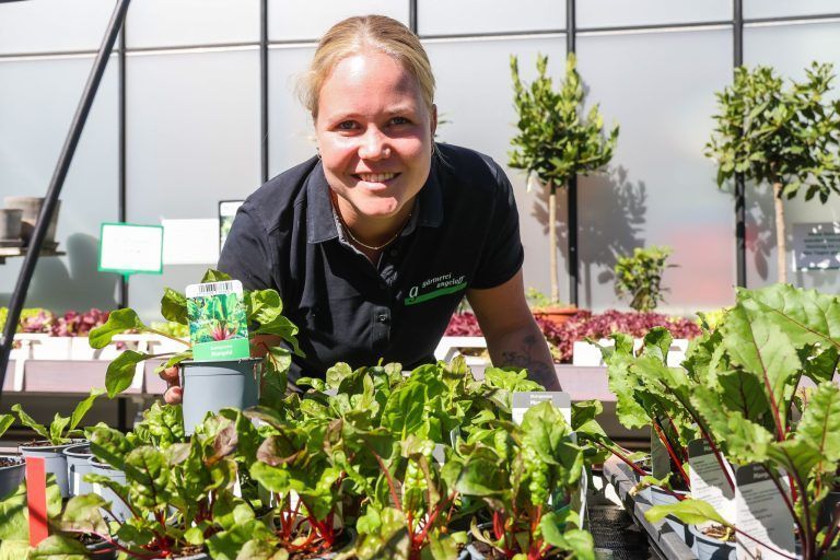 "Das hat sich komplett verändert": Warum man mit der Gartenarbeit nicht bis zum Frühling warten sollte