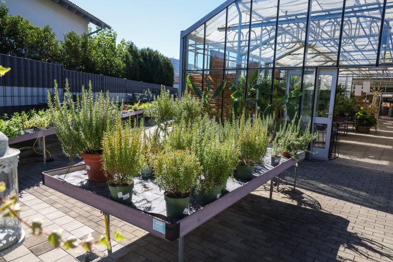 "Das hat sich komplett verändert": Warum man mit der Gartenarbeit nicht bis zum Frühling warten sollte