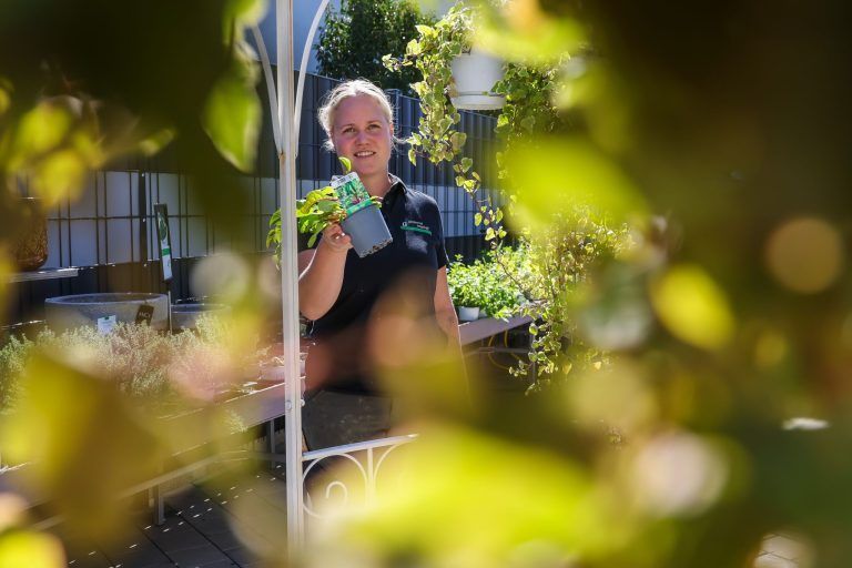 "Das hat sich komplett verändert": Warum man mit der Gartenarbeit nicht bis zum Frühling warten sollte