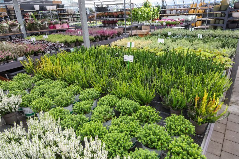 "Das hat sich komplett verändert": Warum man mit der Gartenarbeit nicht bis zum Frühling warten sollte