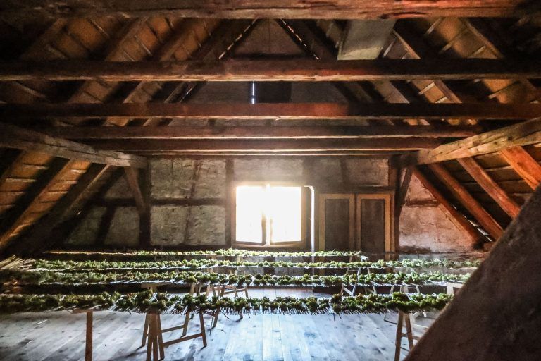 "Wie eine 30-teilige Netflix-Serie": Stefan Grabher besitzt Dornbirns ältestes Haus