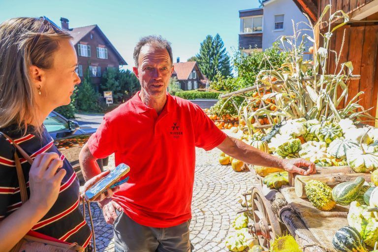 "Es ist wie in einer Lotterie" – Kürbisbauer zieht nach Hitzesommer Bilanz