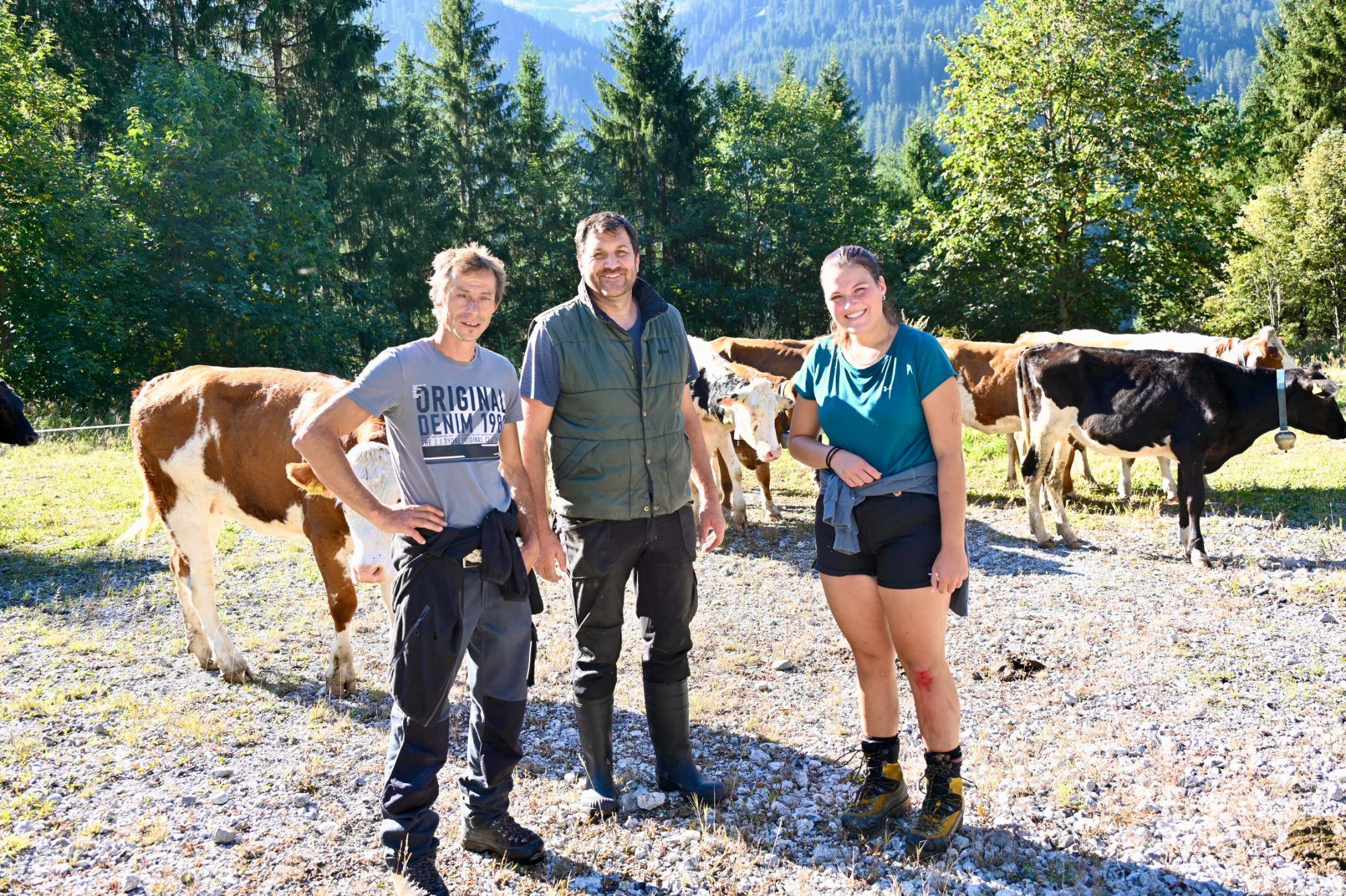 Alpabtrieb im Klostertal