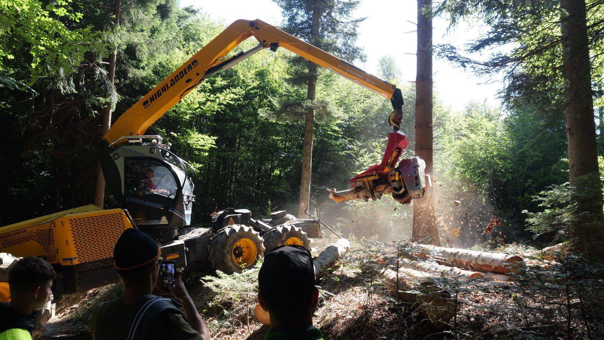 Die Holznutzung mit dem modernen Radharvester hinterließ bleibenden Eindruck.