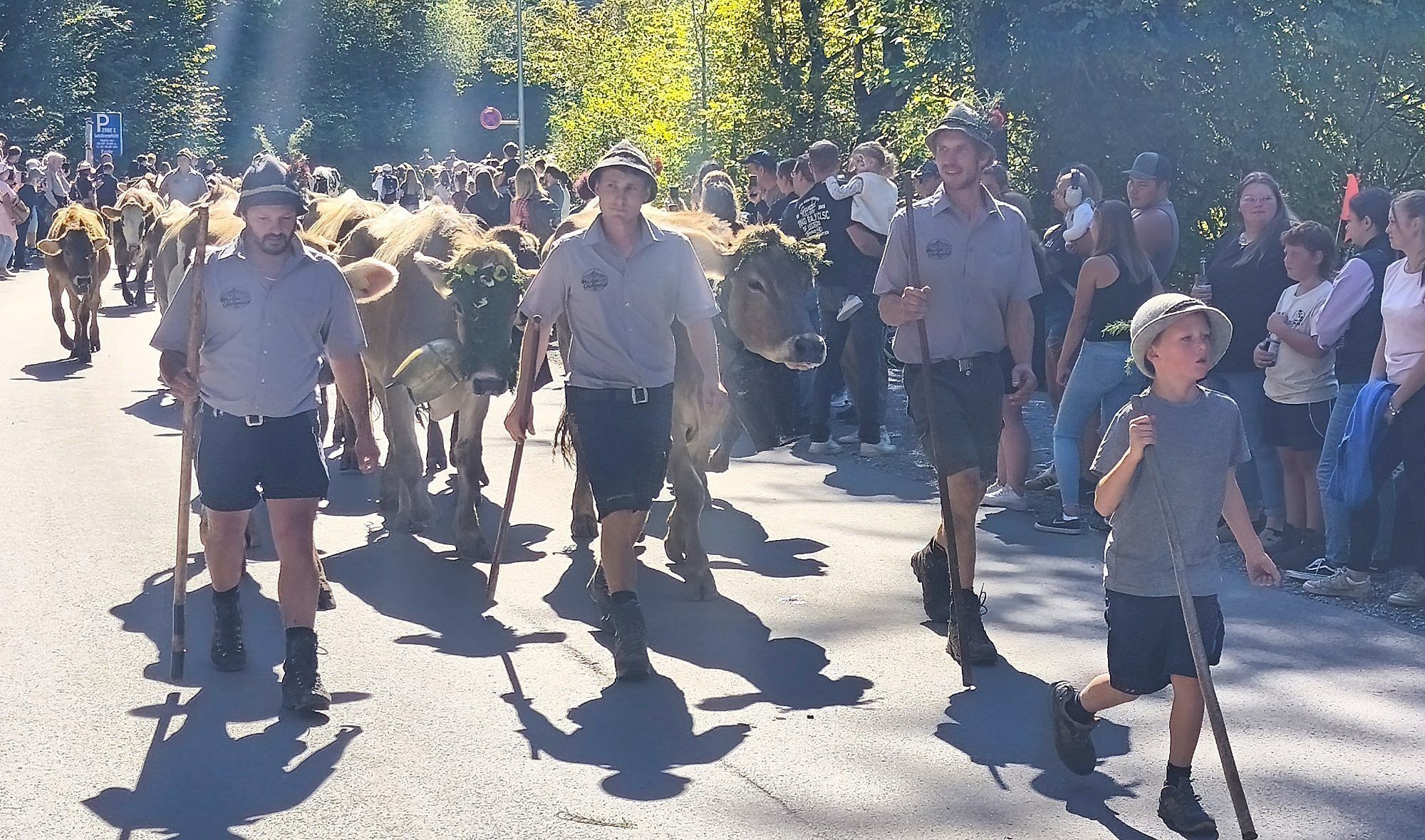Ein gelungener Dornbirner Alpsommer ging mit einem großen Fest in der Enz zu Ende.