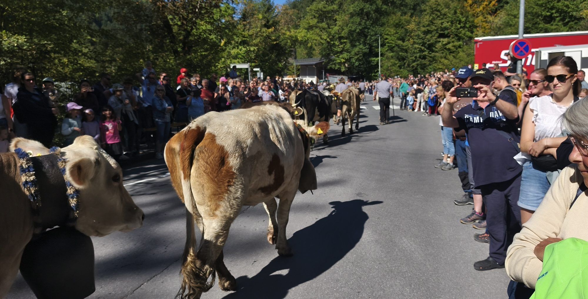 Ein gelungener Dornbirner Alpsommer ging mit einem großen Fest in der Enz zu Ende.