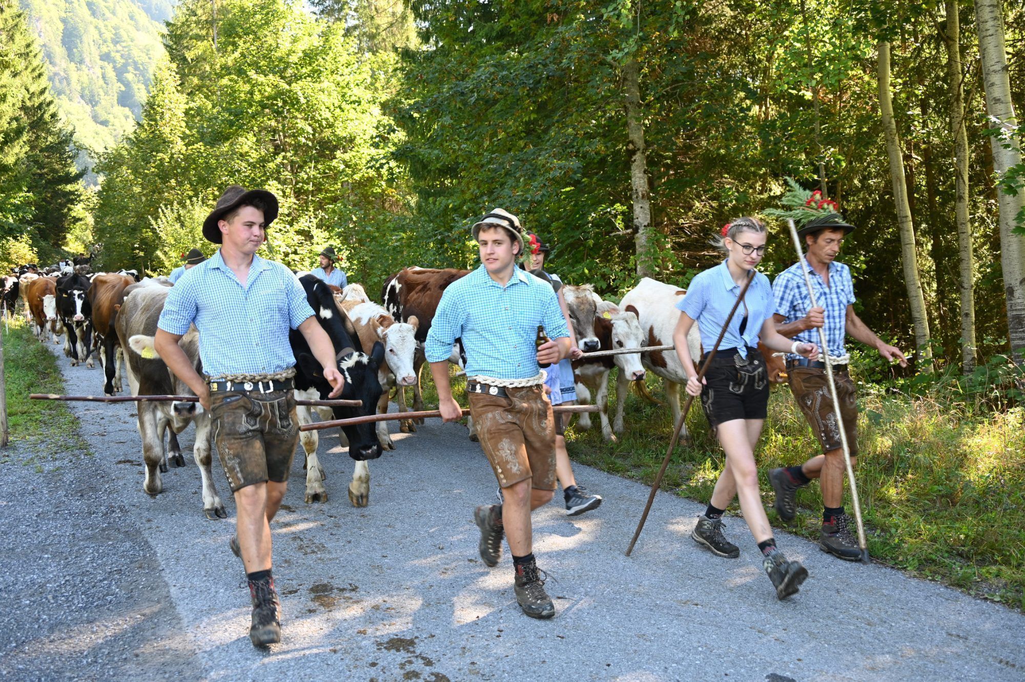 Alpabtrieb im Klostertal