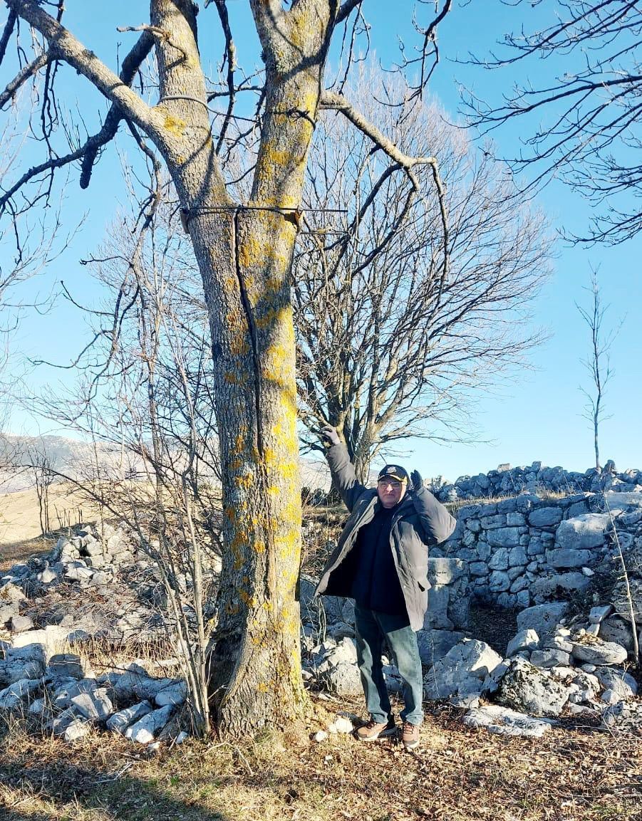Stolz vor dem Baum, den einst sein Großvater für ihn pflanzte