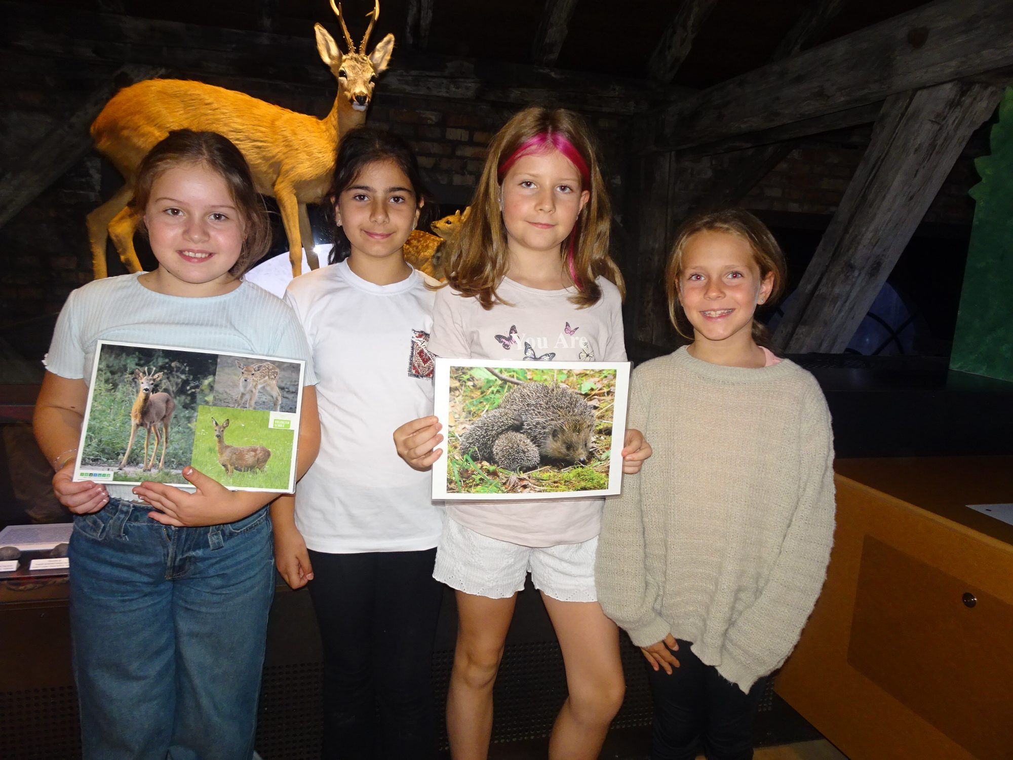 Lena, Sophie, Elsa und Lotta lernten beim inatura-Workshop alles rund um den Wald und waren sehr begeistert.
