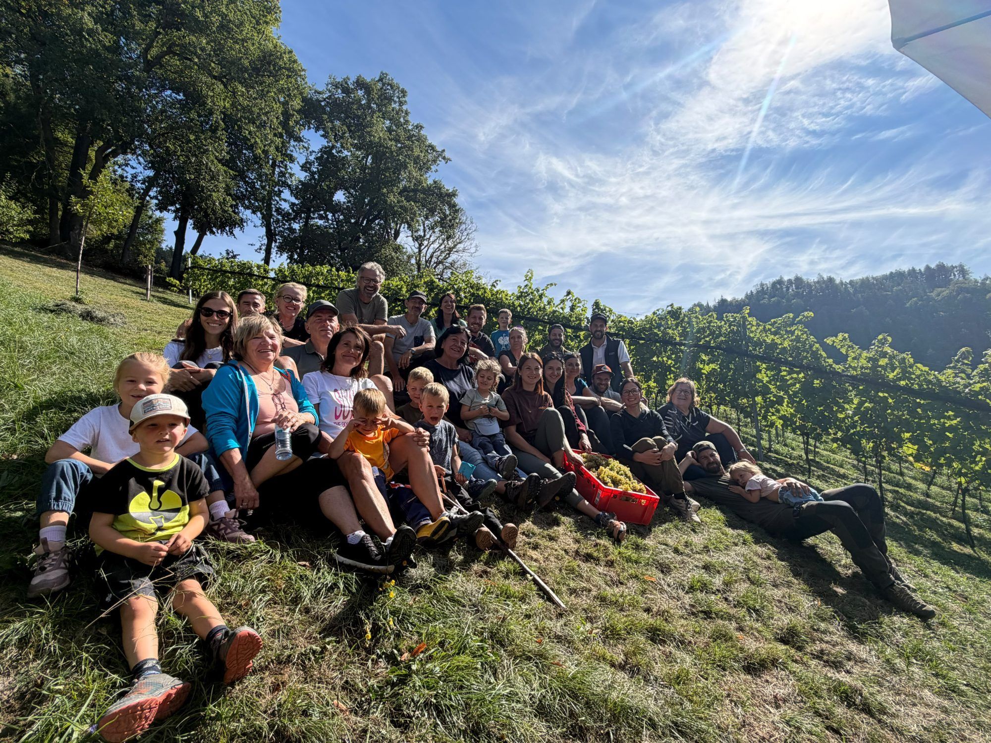 Wo Weinlese zum Familienfest wird
