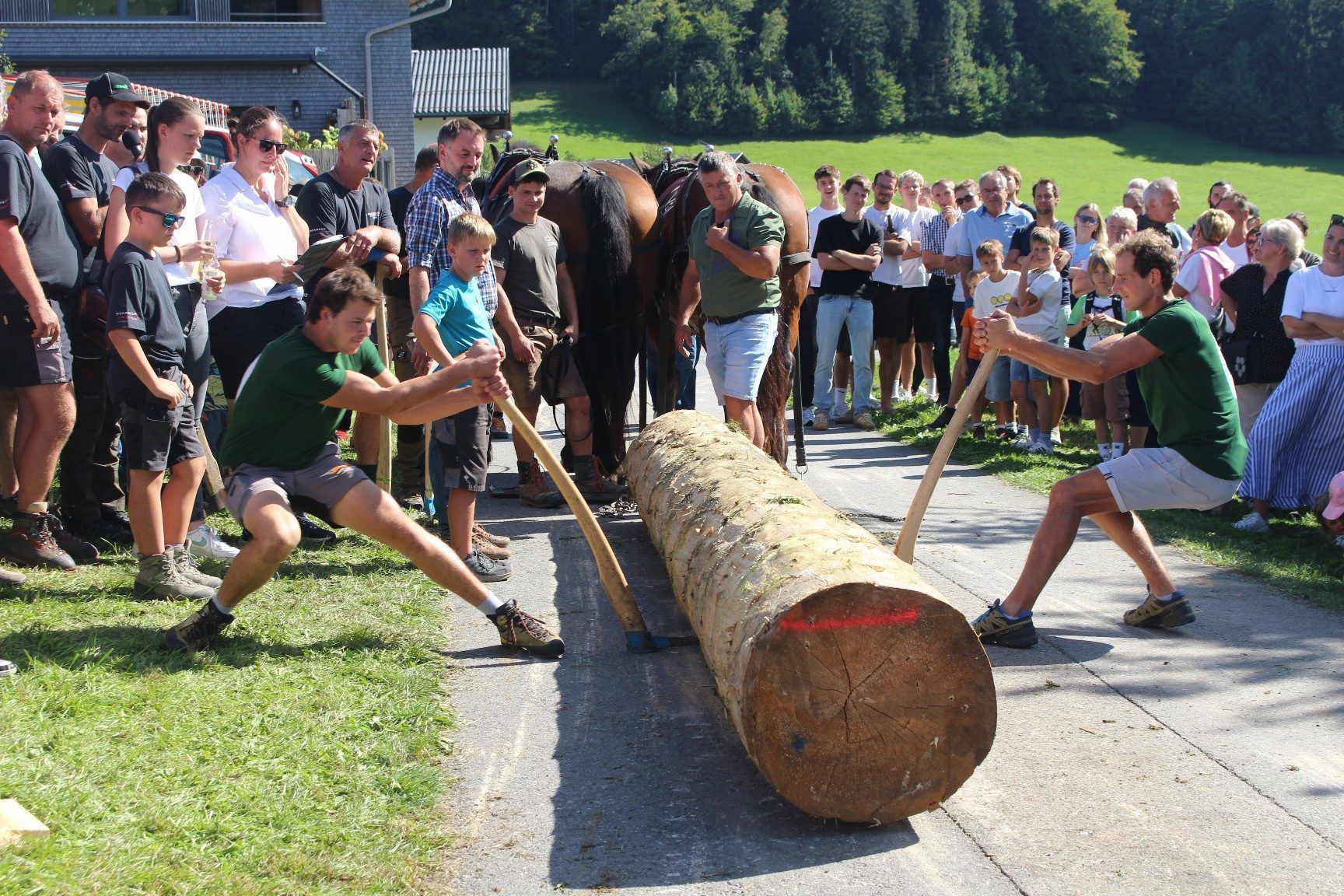 „Beißen“ nach guter alter Holzfällerart war der spektakuläre Abschluss des 1. Holzerbewerbs im Rahmen des traditionellen Schwarzenberger Marktes. PETER STRAUSS