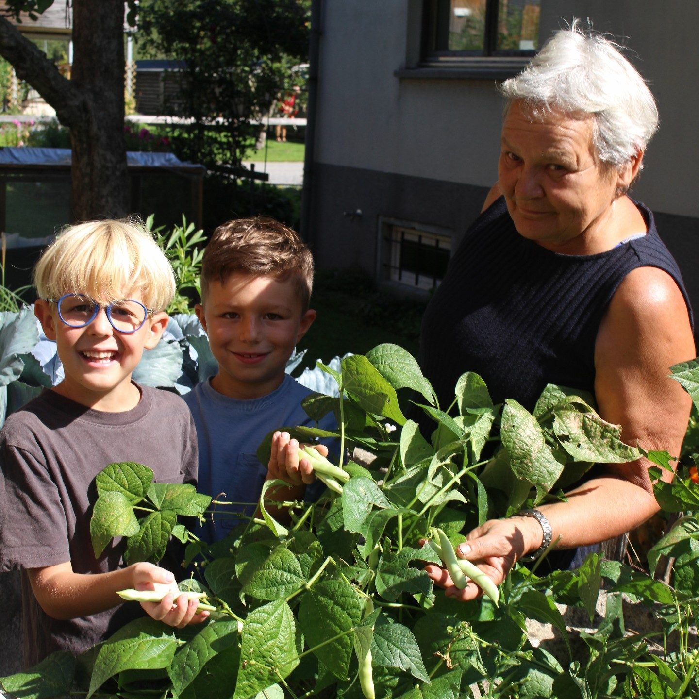 60 Kindergartenkinder aus Reuthe und Mellau waren zum Witus- Projekt eingeladen. Zum Schulstart konnte sich Isabella vom Erfolg der Bohnen-Aktion überzeugen.