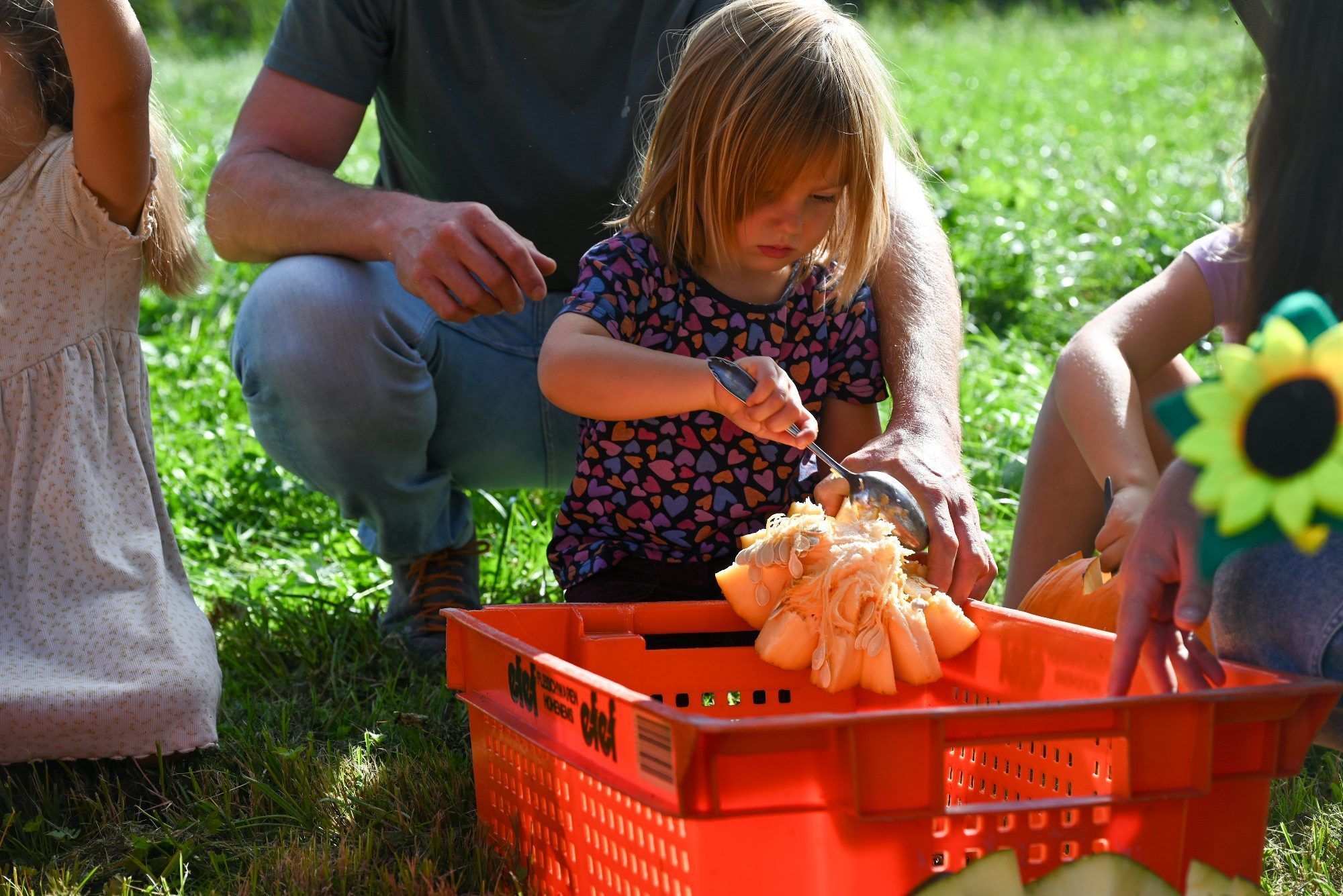 Hochkonzentriert arbeiteten die Kinder an ihrem Kürbis.