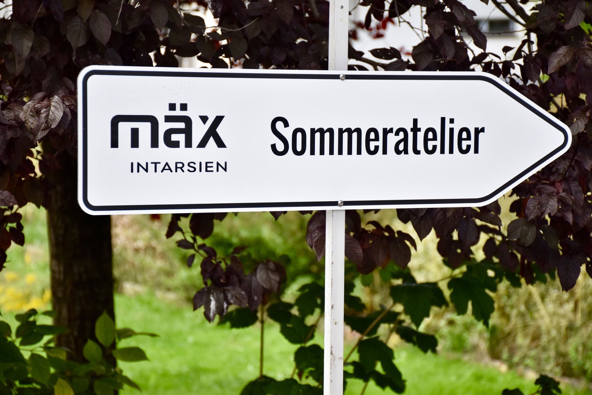 Gut beschildert war das Offene Sommeratelier im Betriebsgebiet Hängender Stein 4 in Ludesch. Die kleine Kunstoase lud zum Verweilen ein. Helmut Obexer schaute Markus Khüny interessiert über die Schultern. Daniel und Tiffany holten im Sommeratelier die beim Künstler in Auftrag gegebene Intarsienarbeit mit dem Wappen ihrer Familie - zufälligerweise auch Khüny - ab.