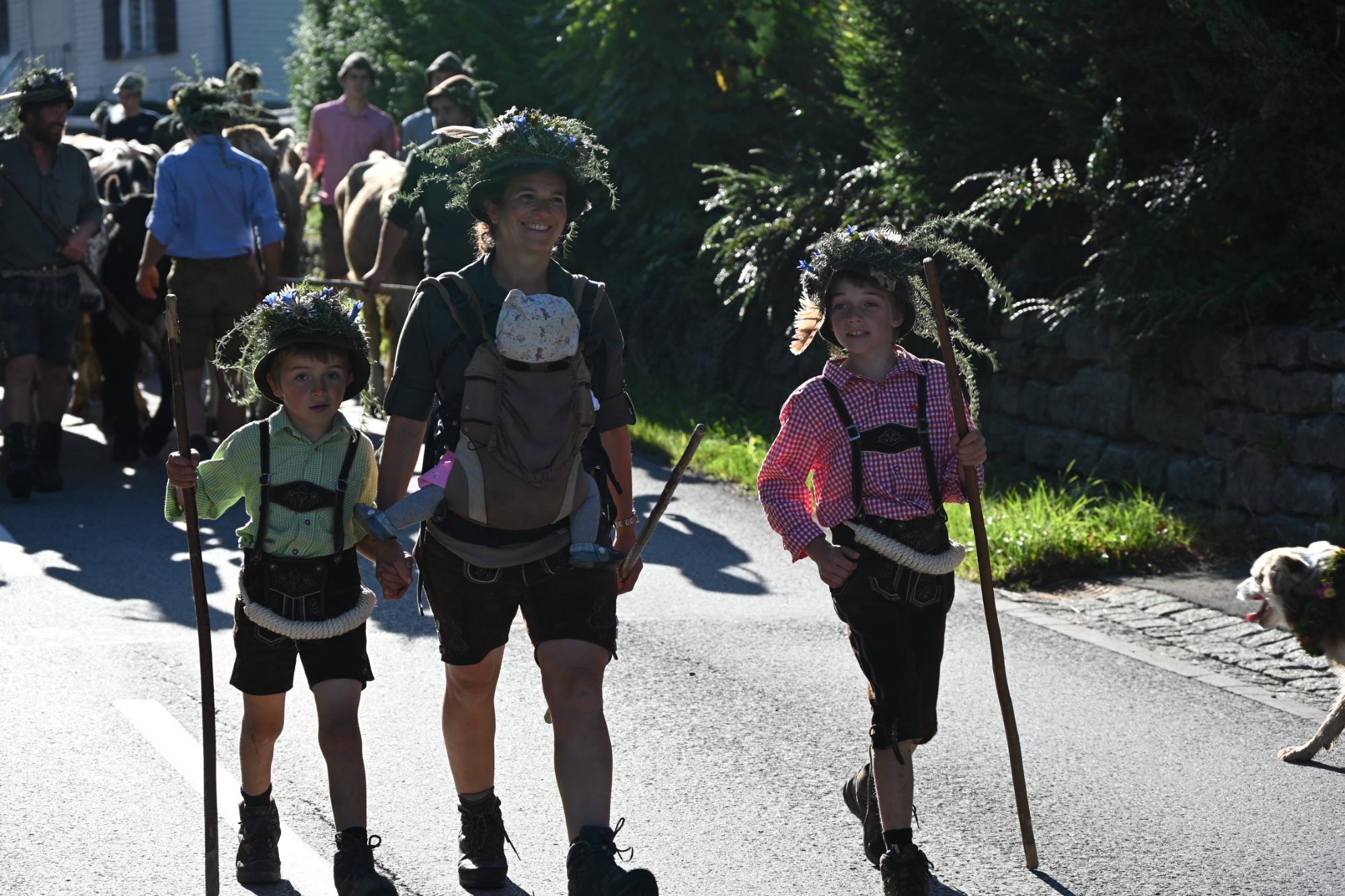 Alpabtrieb im Klostertal