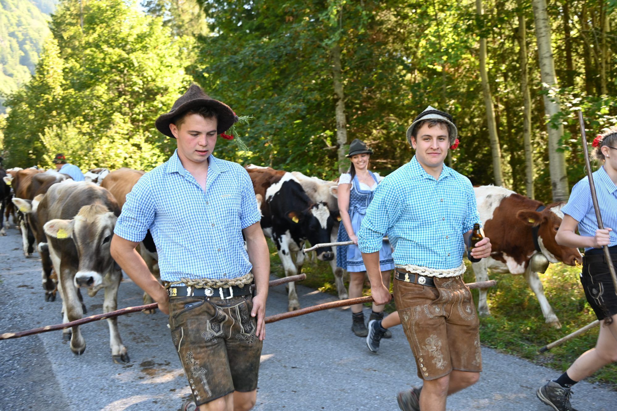 Alpabtrieb im Klostertal