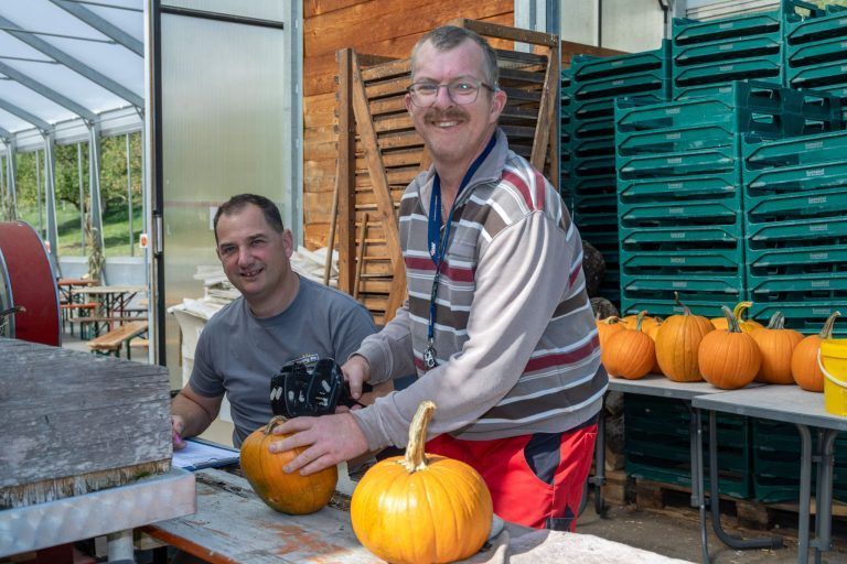 "Mein Kürbis hat Wimpern" – Herbsttage am Sunnahof sind zum Schnitzen da