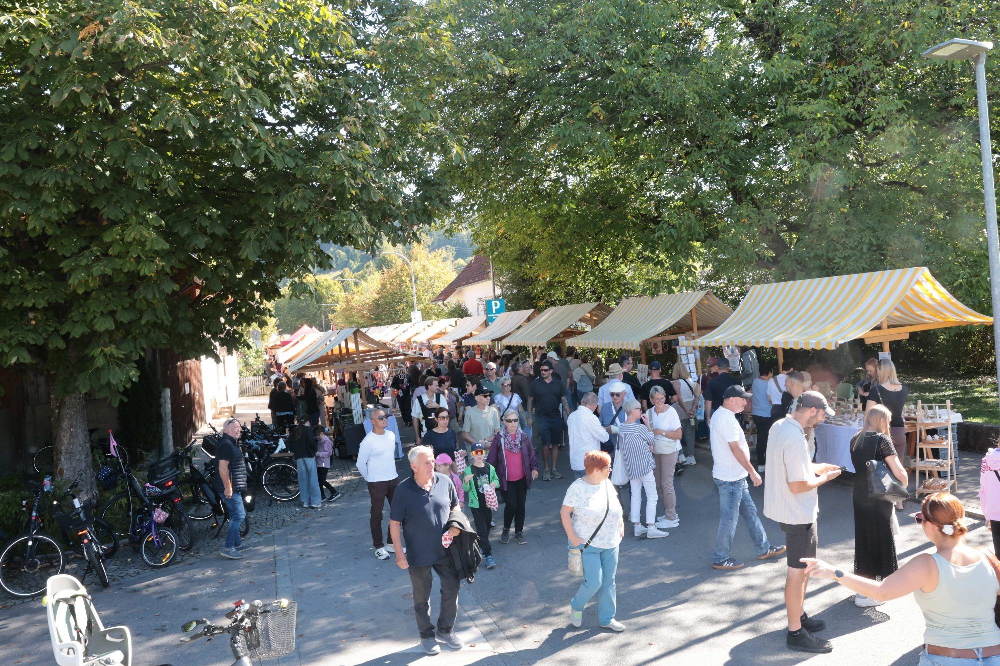Eindrücke vom Wolfurter Herbstmarkt.