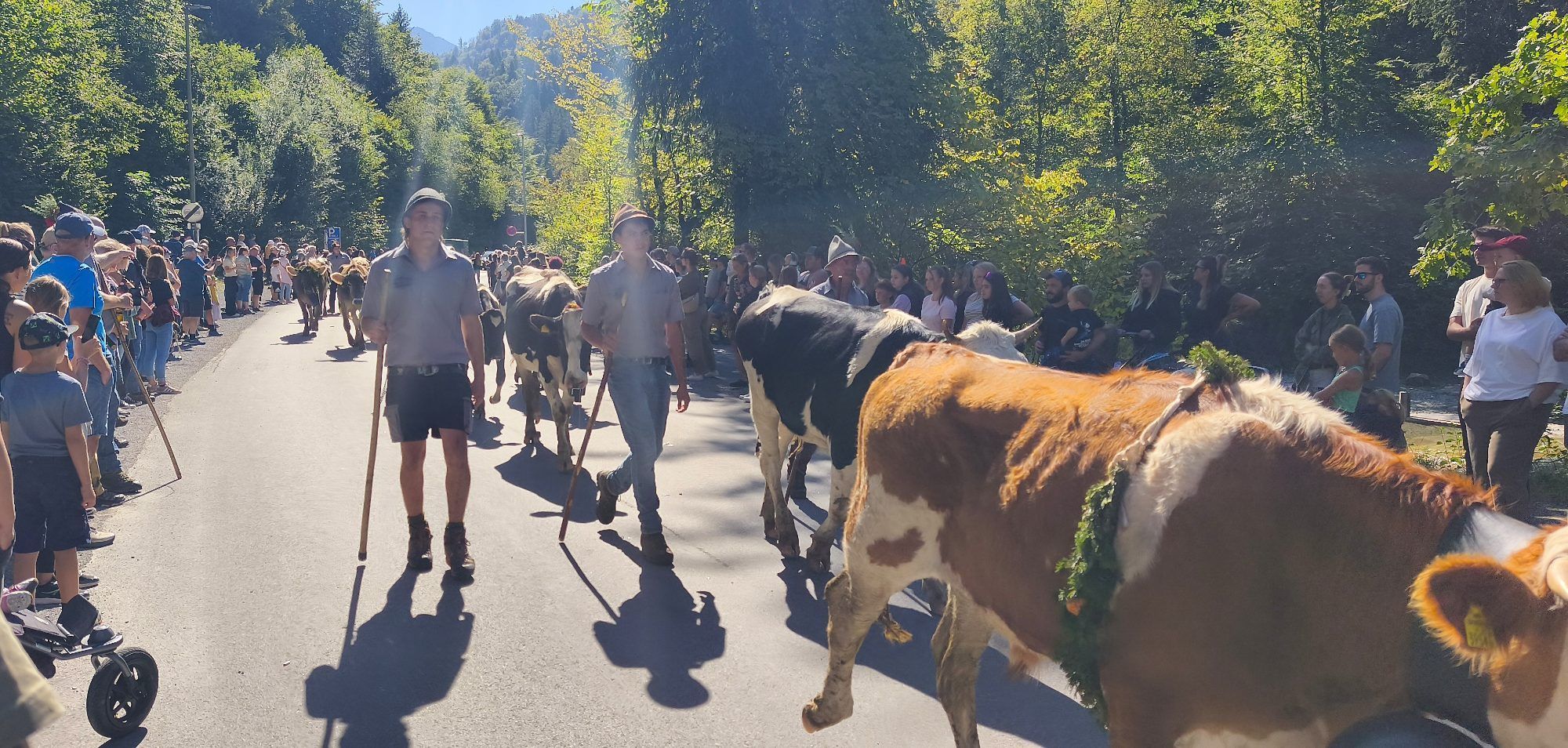Ein gelungener Dornbirner Alpsommer ging mit einem großen Fest in der Enz zu Ende.