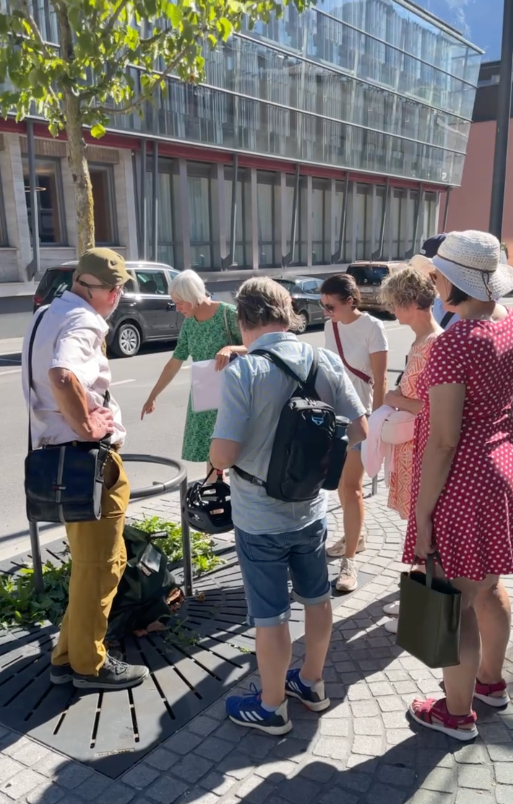 Ein Thema waren auch die vereinzelten Bäume am Straßenrand.