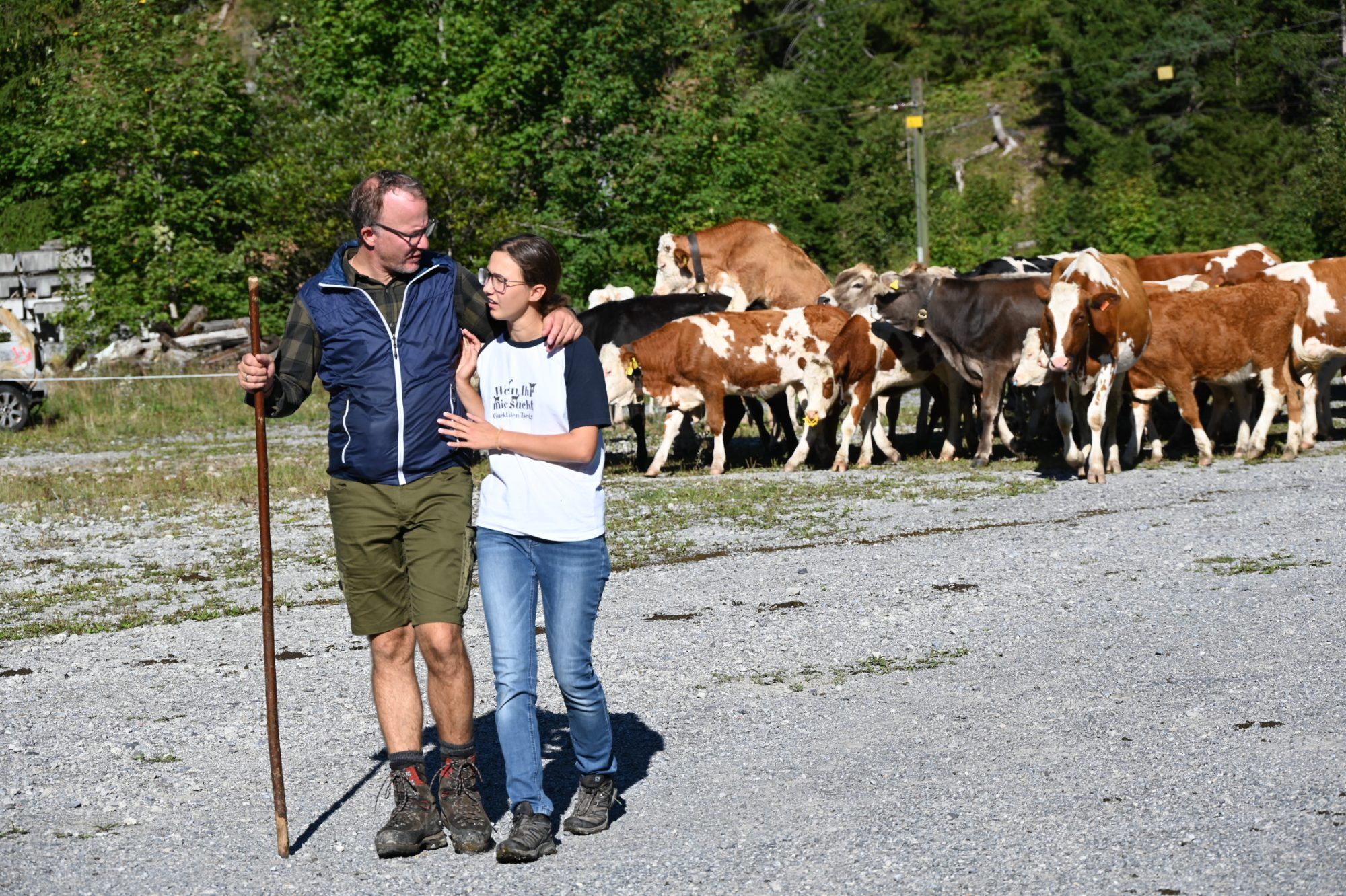 Alpabtrieb im Klostertal