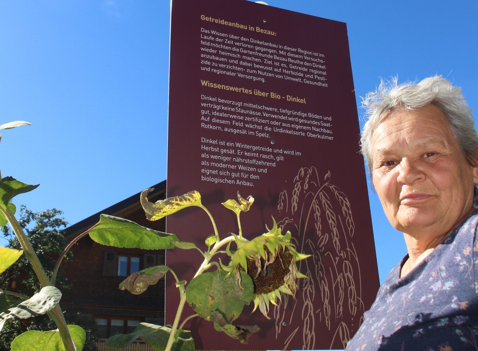 Jüngstes Projekt von Isabella Moosbrugger – Anbau von Bio-Dinkel auf einem Acker, den Dr. Jodok Fink bereitstellte. Fast ein Zentner Dinkel wurde geerntet. PETER STRAUSS