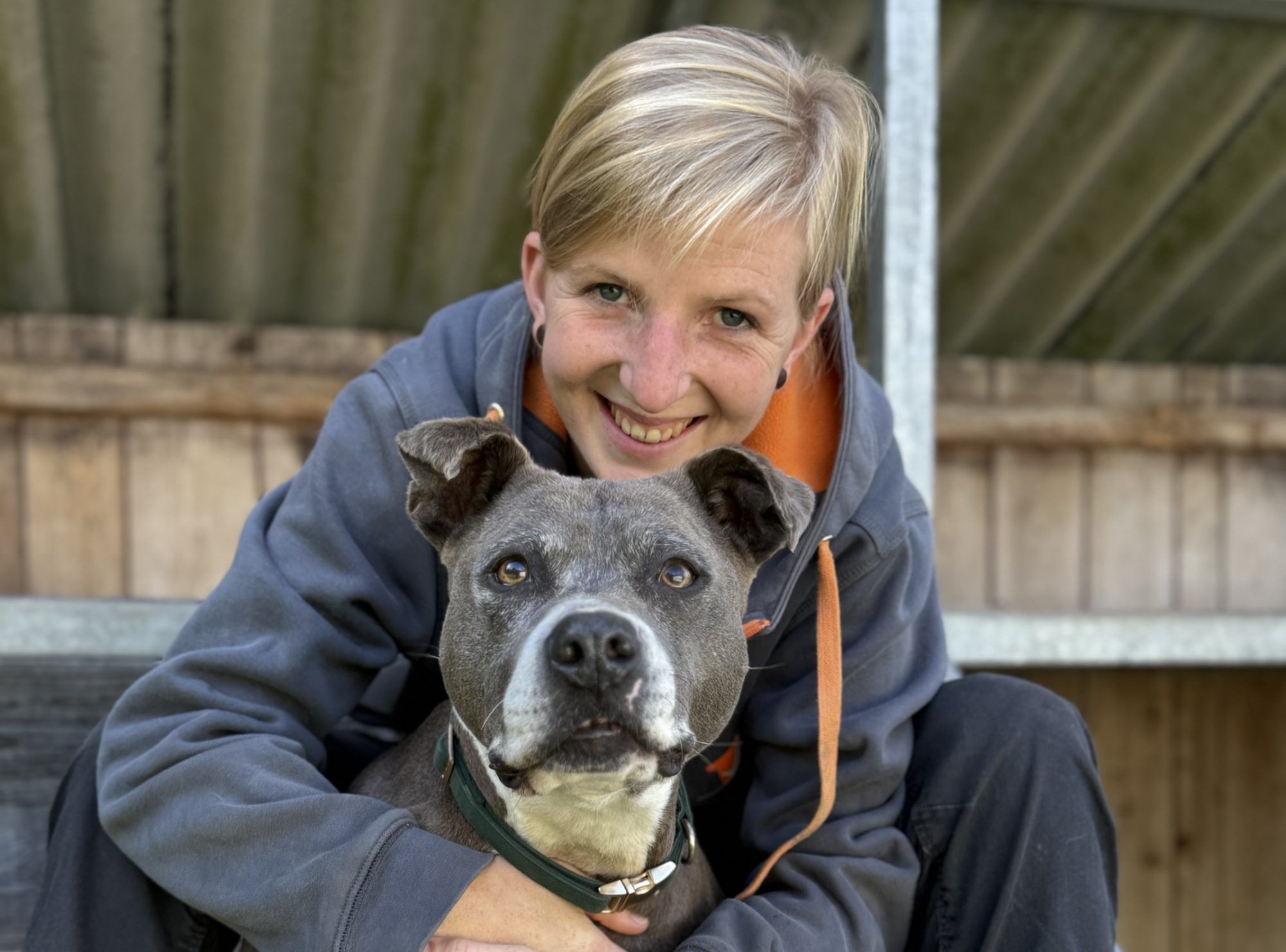 Beim Tierschutz-Flohmarkt wird für die Schützlinge des Tierheims gesammelt - das Team freut sich auf zahlreiche Besucherinnen und Besucher.