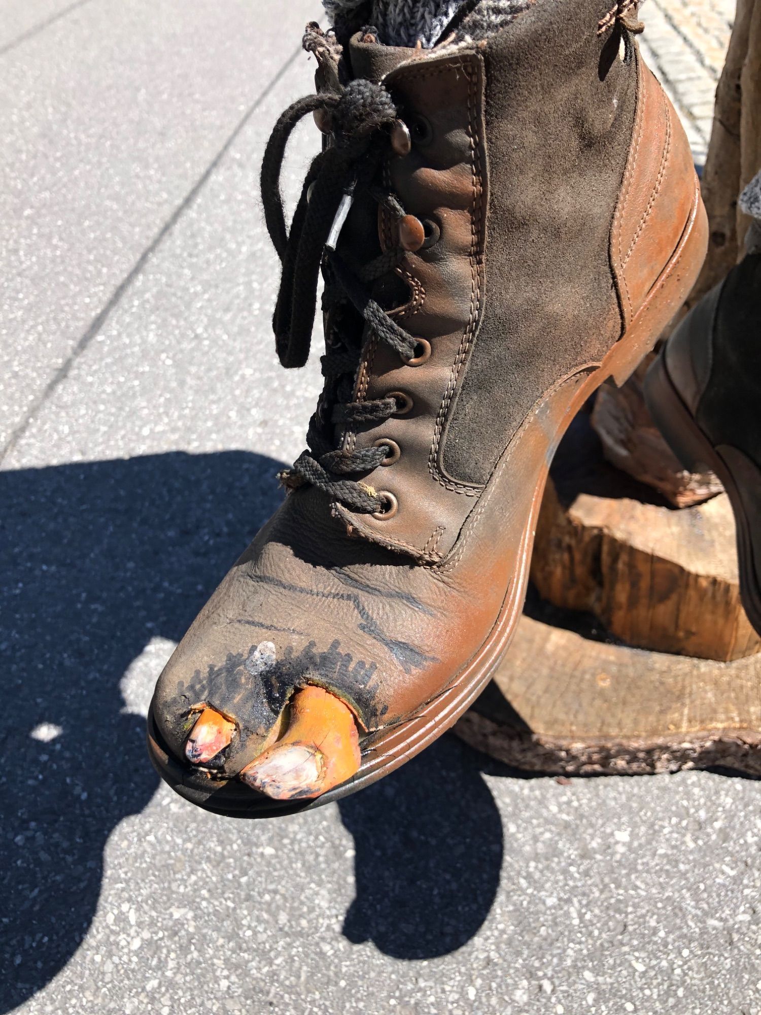 Für eine Kunstinstallation war dieser Bergschuh noch gut zu gebrauchen.