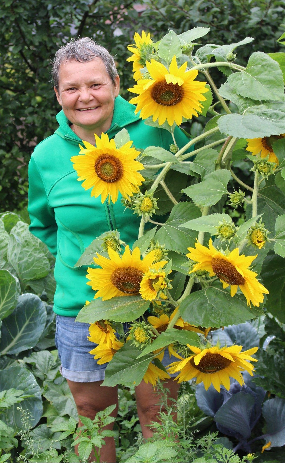 Mit Sonnenblumen hat Isabella im Gemeinschaftsgarten viel Freude – „die wachsen massenhaft von selbst“ . . .