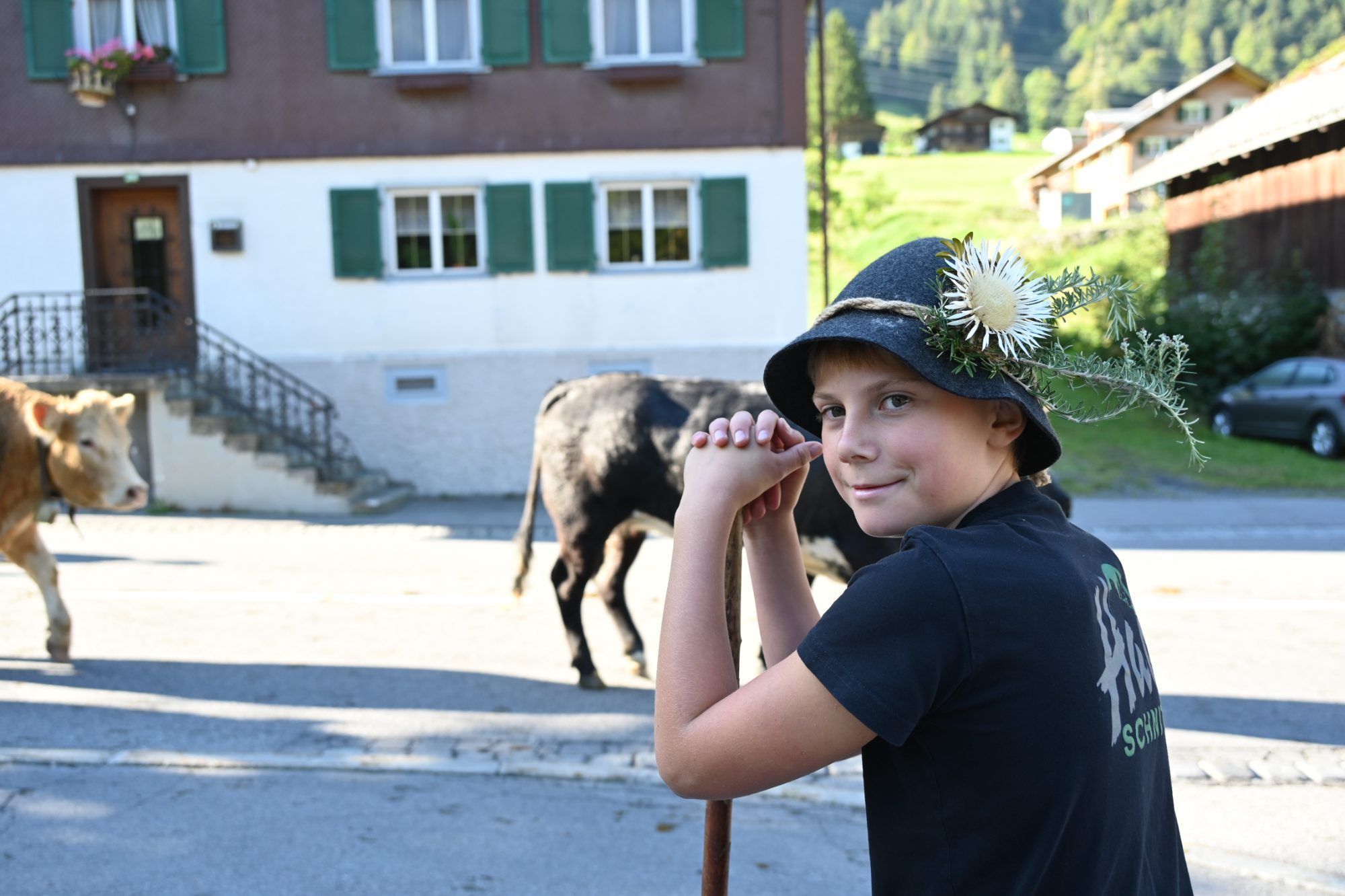 Alpabtrieb im Klostertal