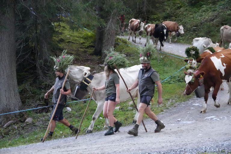 Das machte der Hitzesommer mit Ernte und Alpen