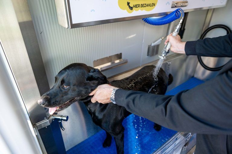 Waschen, spülen, föhnen: Lustenau hat jetzt eine SB-Waschanlage für Hunde