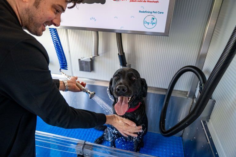 Waschen, spülen, föhnen: Lustenau hat jetzt eine SB-Waschanlage für Hunde