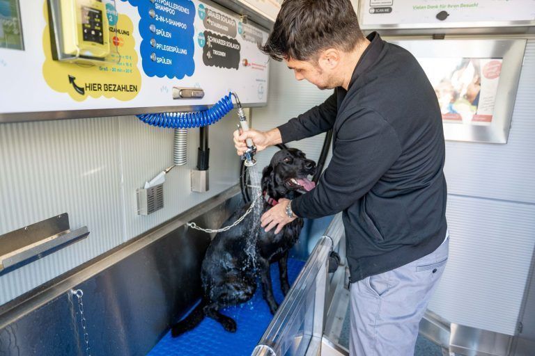 Waschen, spülen, föhnen: Lustenau hat jetzt eine SB-Waschanlage für Hunde