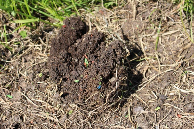 Wieder illegal entsorgter Plastikmüll im Ried? Was wirklich hinter dem vermeintlichen "Umweltskandal" steckt