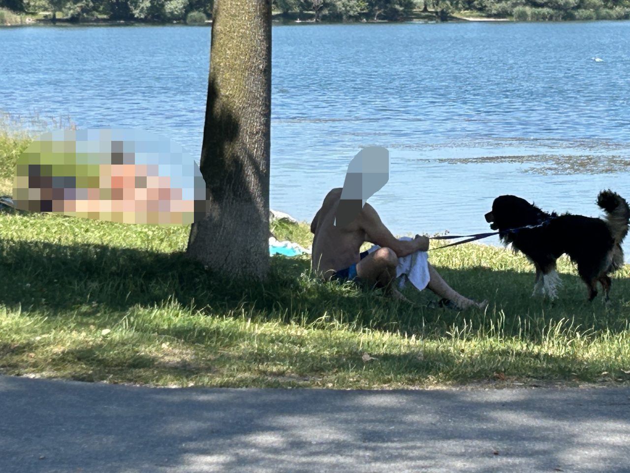 Fragwürdige Justizposse nach tödlicher Hundeattacke in Hard