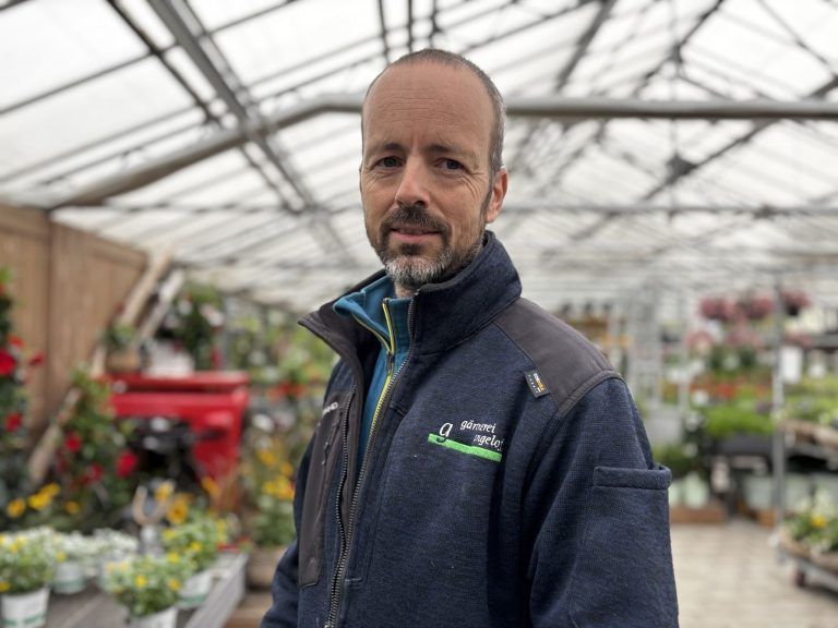 "Das hat sich komplett verändert": Warum man mit der Gartenarbeit nicht bis zum Frühling warten sollte