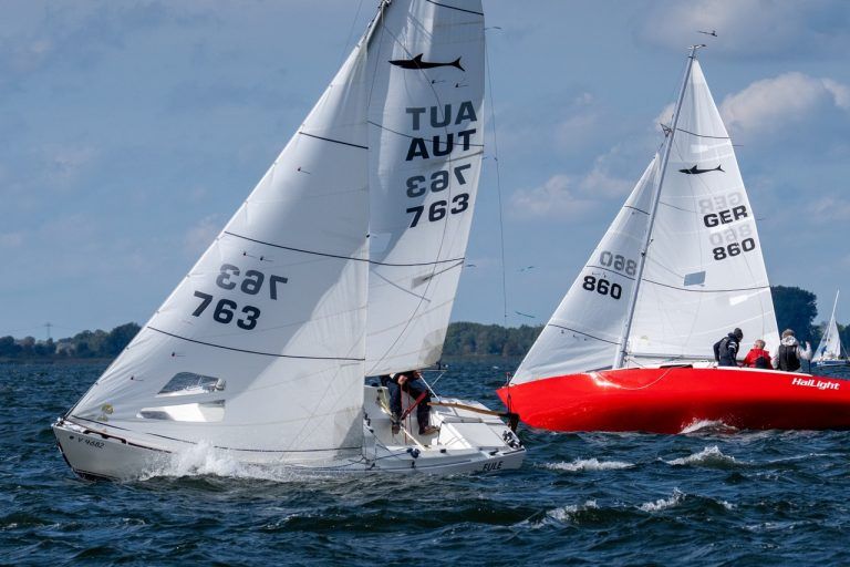 Segeln EM 2026 Shark 24