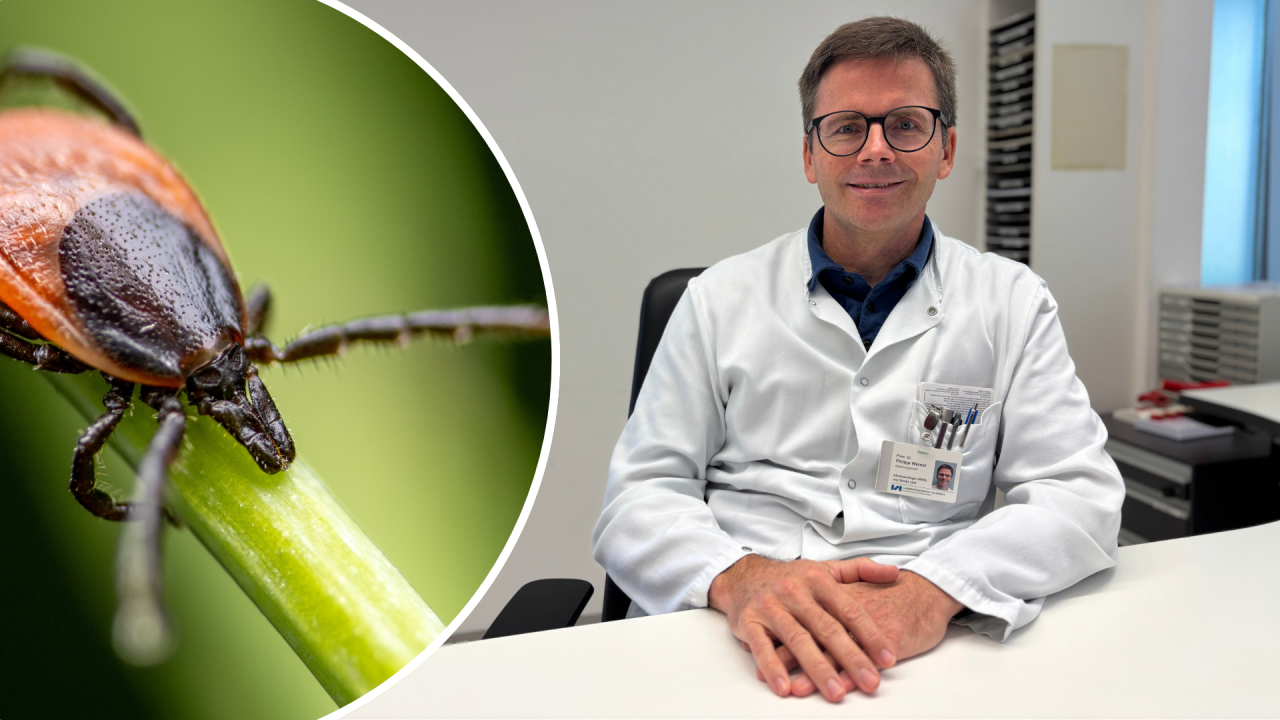 FSME in Vorarlberg: "Speziell wegen des Klimawandels wird es immer relevanter"