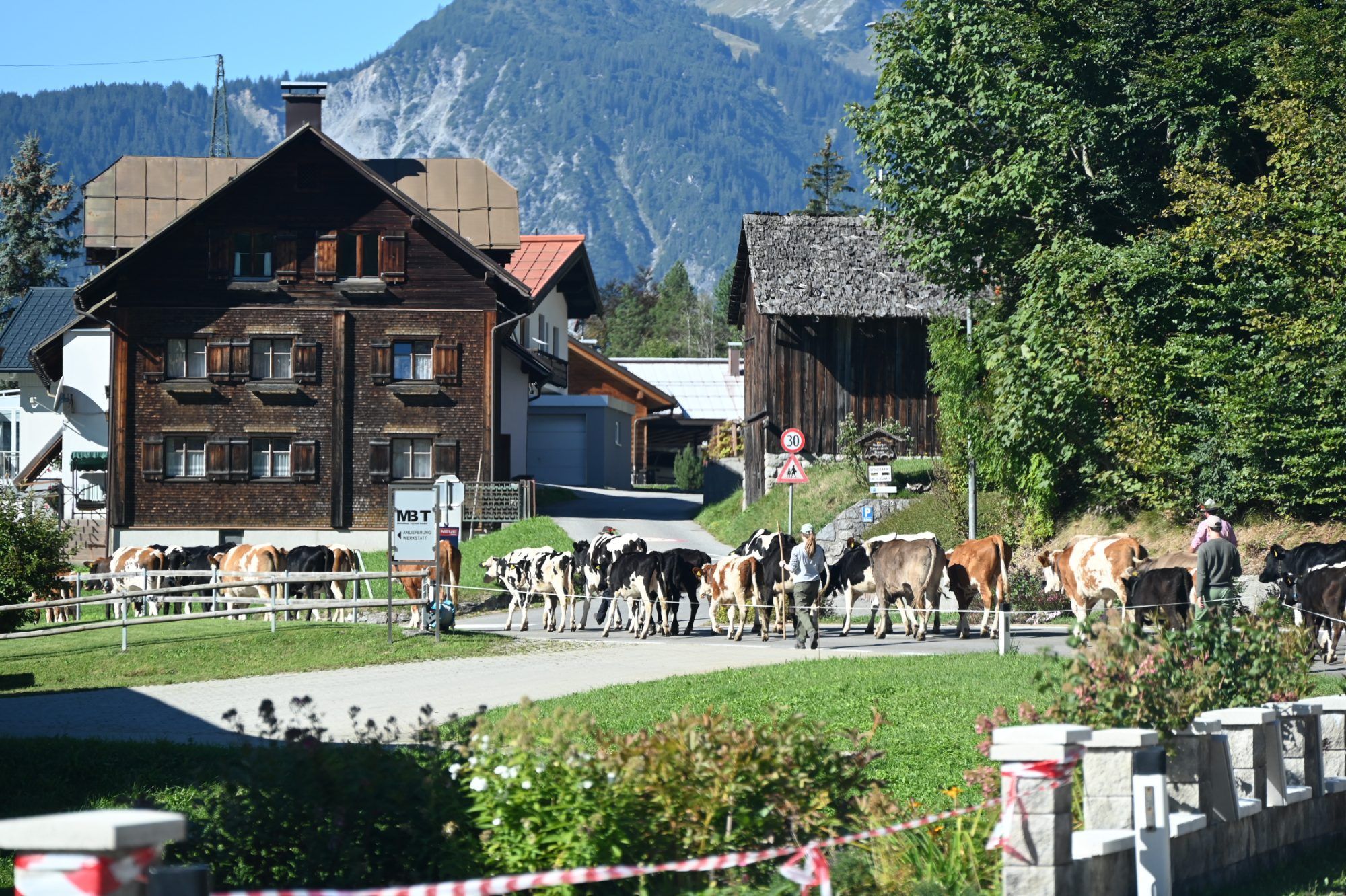 Alpabtrieb im Klostertal