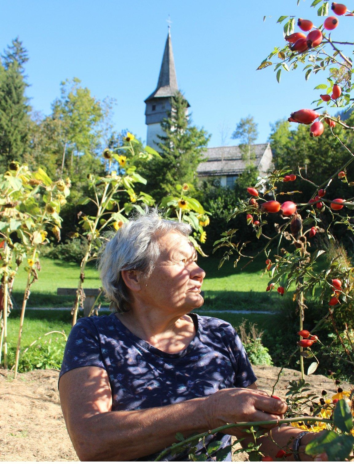 Ein besonderer Vorzug des Gemeinschaftsgartens ist die große Vielfalt. Neben Himbeeren (Bild) gedeihen Kraut, Zwiebel, Karotten und vielem mehr . . .
