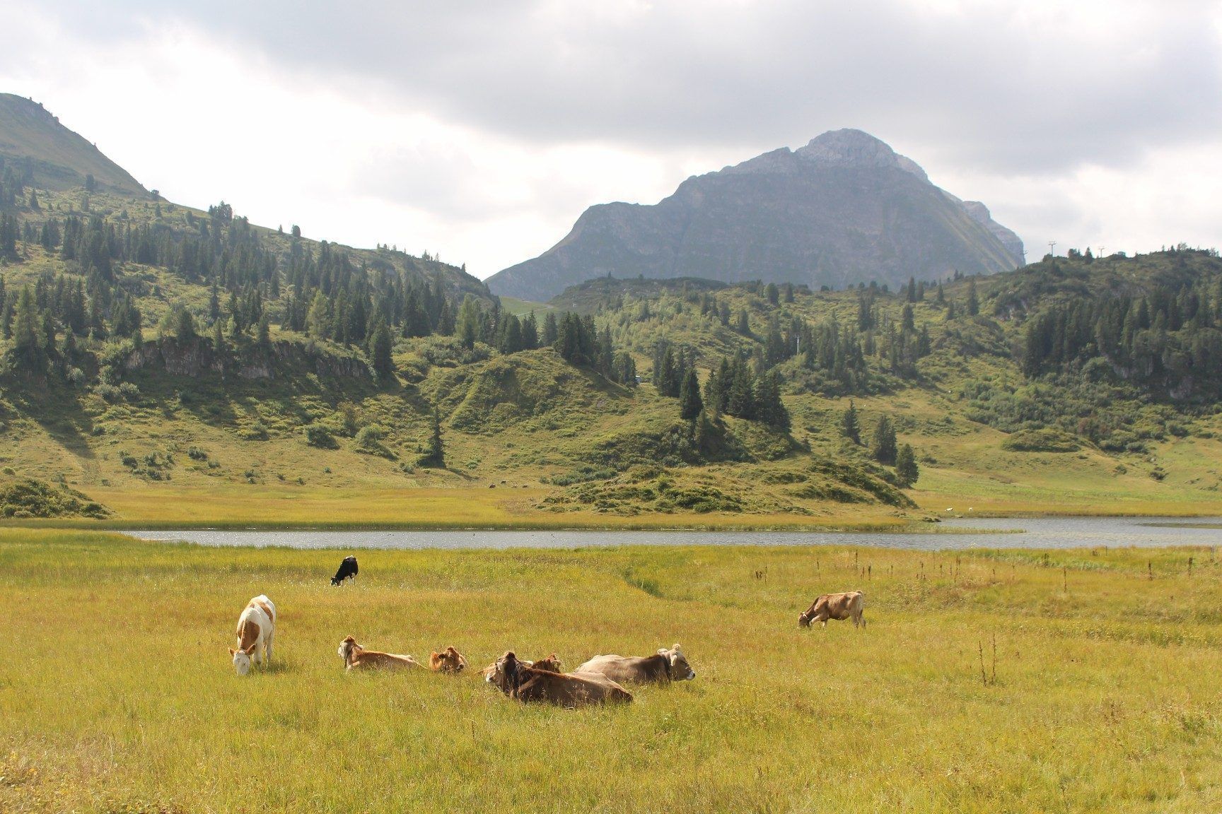 Alpen, die genügend Wasserreserven in der Nähe hatten – wie die Alpe Körb am Kalbelesee auf Hochkrumbach – hatten weit weniger Probleme mit der extremen Trockenheit in diesem Sommer.