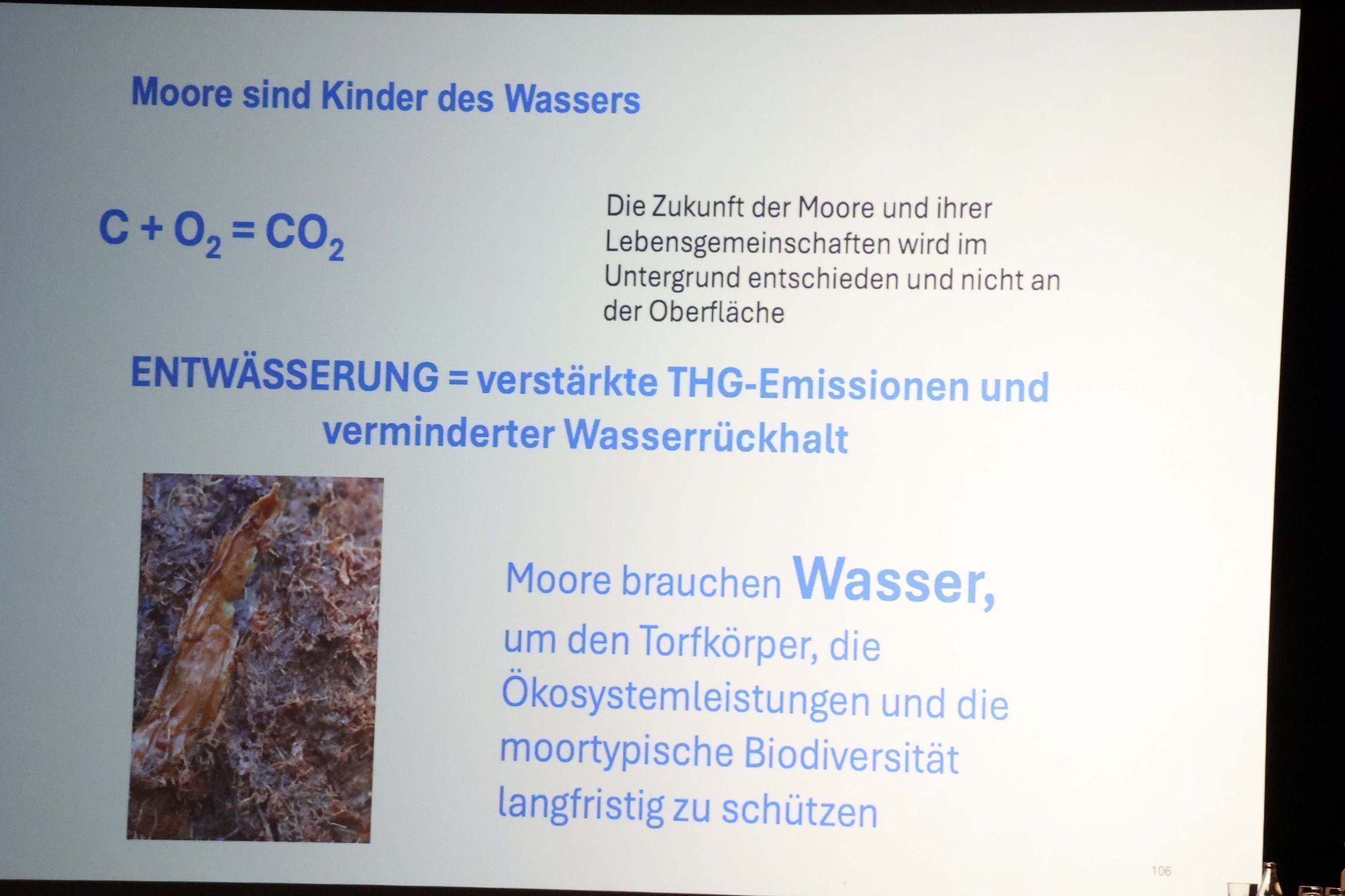 Eindrücke von den