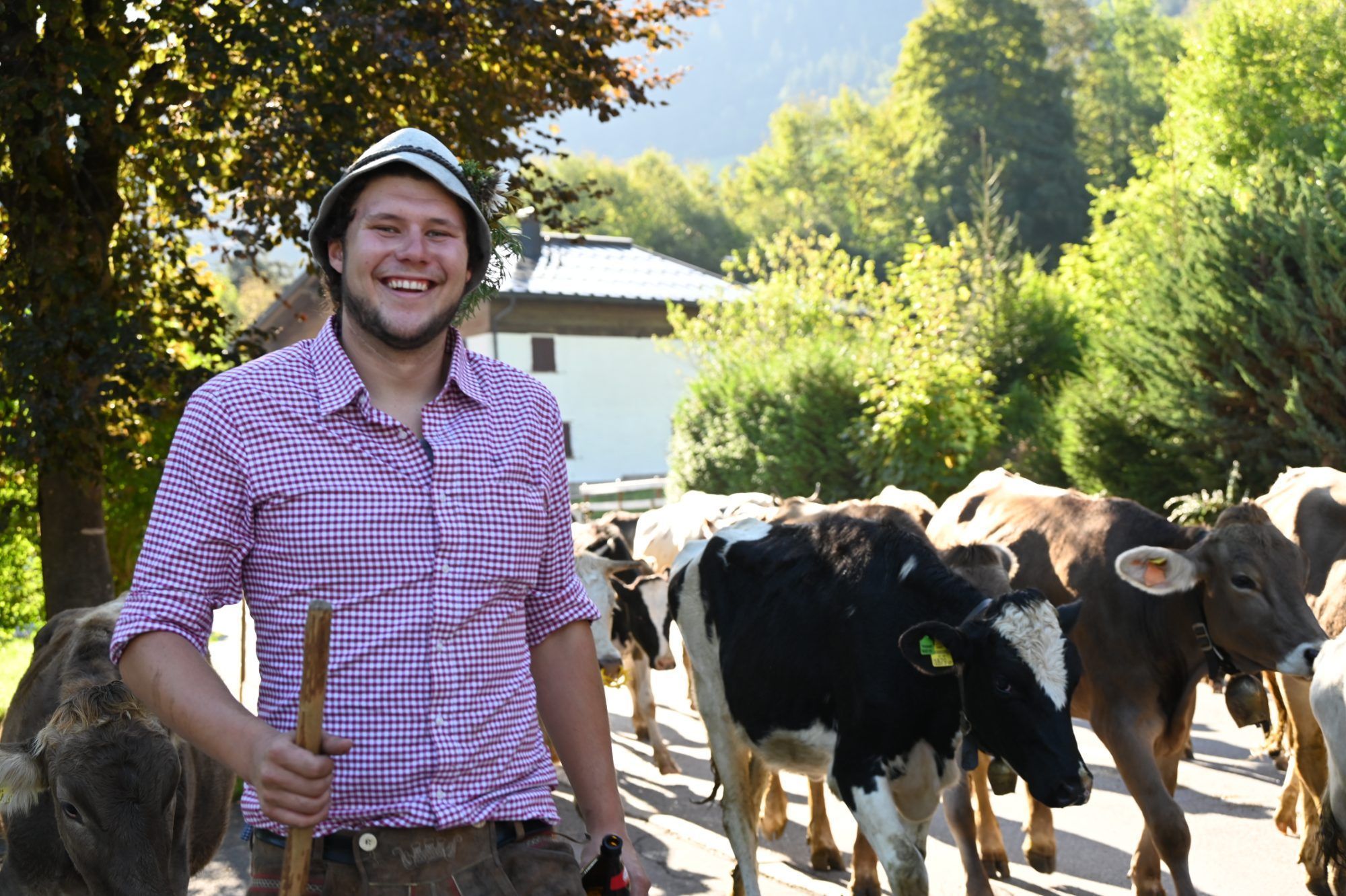 Alpabtrieb im Klostertal
