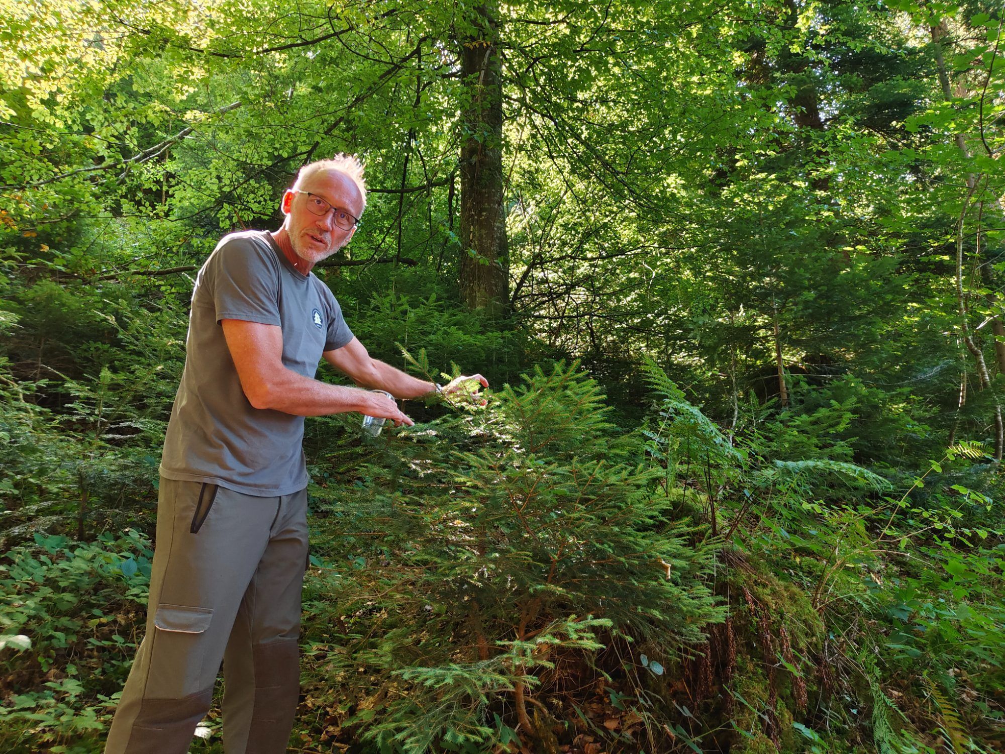 Der Wald der Zukunft muss auf Vielfalt setzen, ist sich Förster Walter Amann sicher.