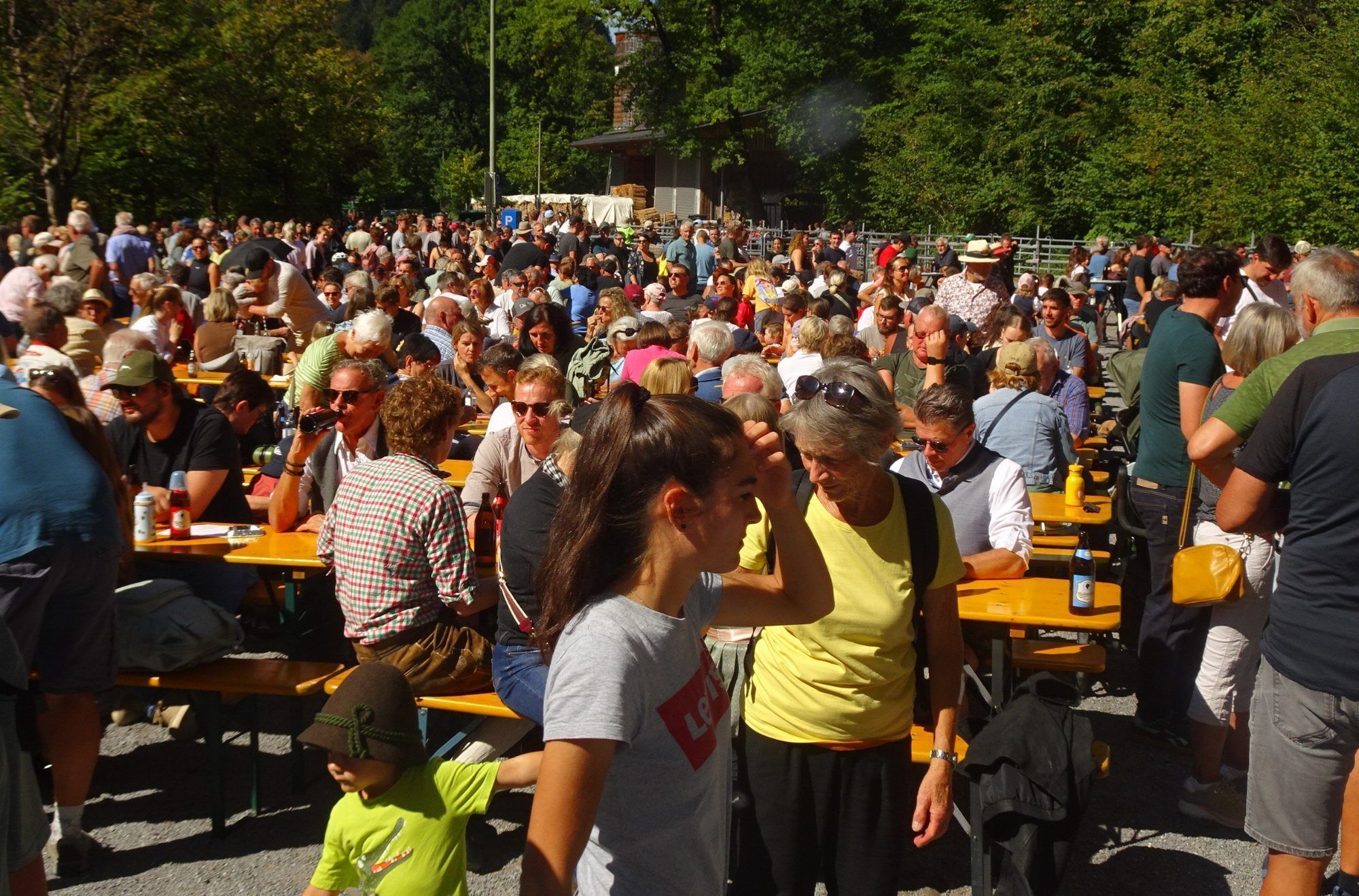 Der Alpabtrieb lockt jedes Jahr zahlreiche Besucher in die Enz, die dieses Jahr bei Kaiserwetter das Ende des Alpsommers feierten.