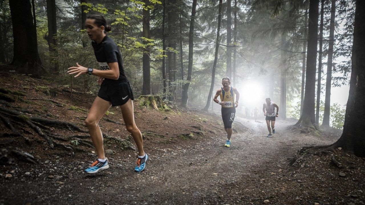 Revival der "Pfändertanne" bei Traditionslauf