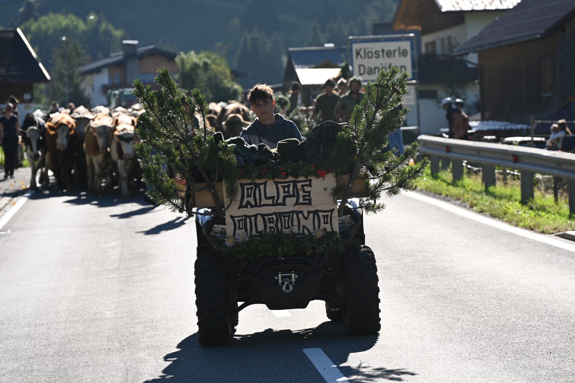 Alpabtrieb im Klostertal