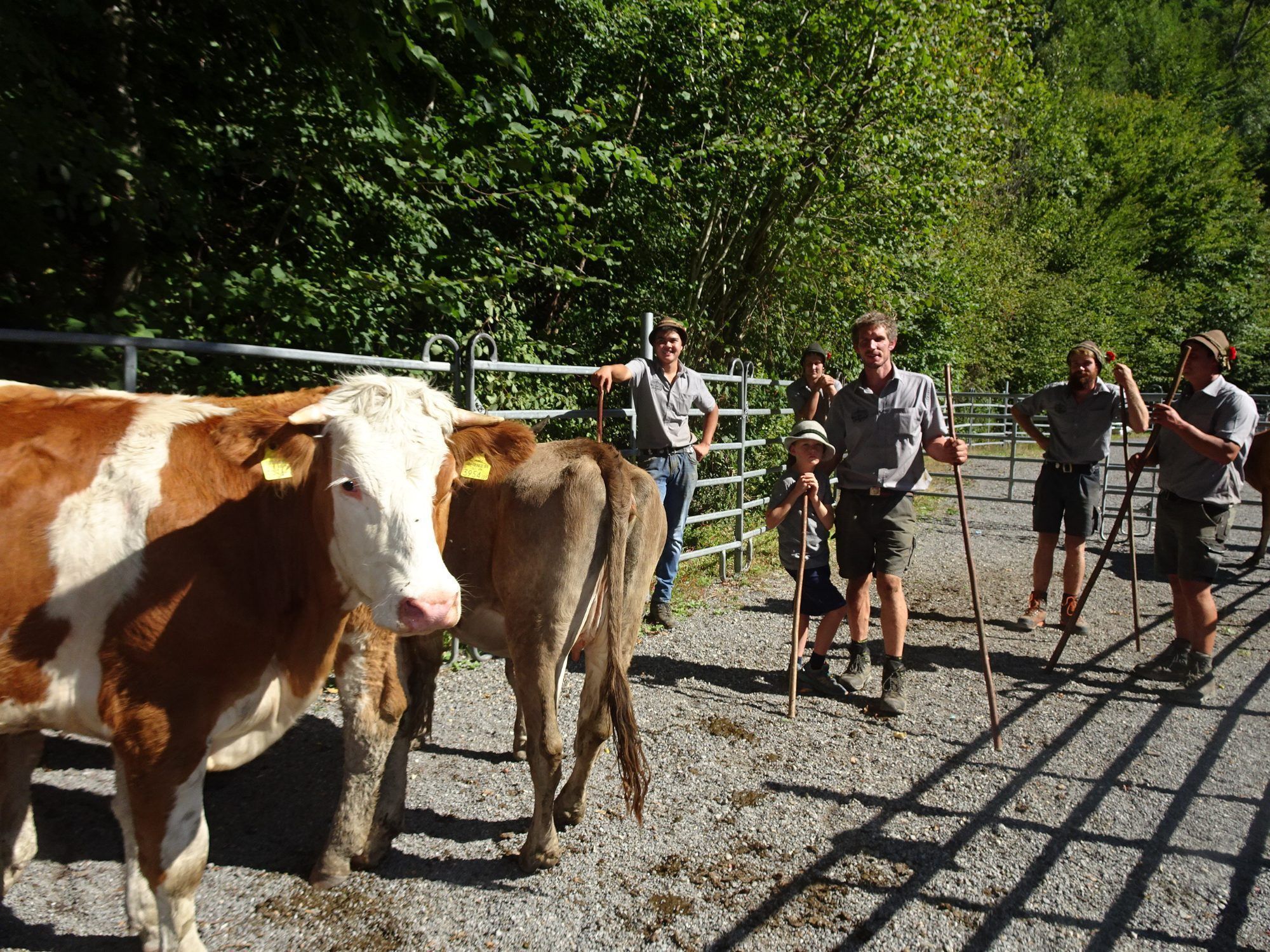 Für die Bauernfamilien bedeutet der Alpabtrieb die Rückkehr ihrer Tiere ins Tal.